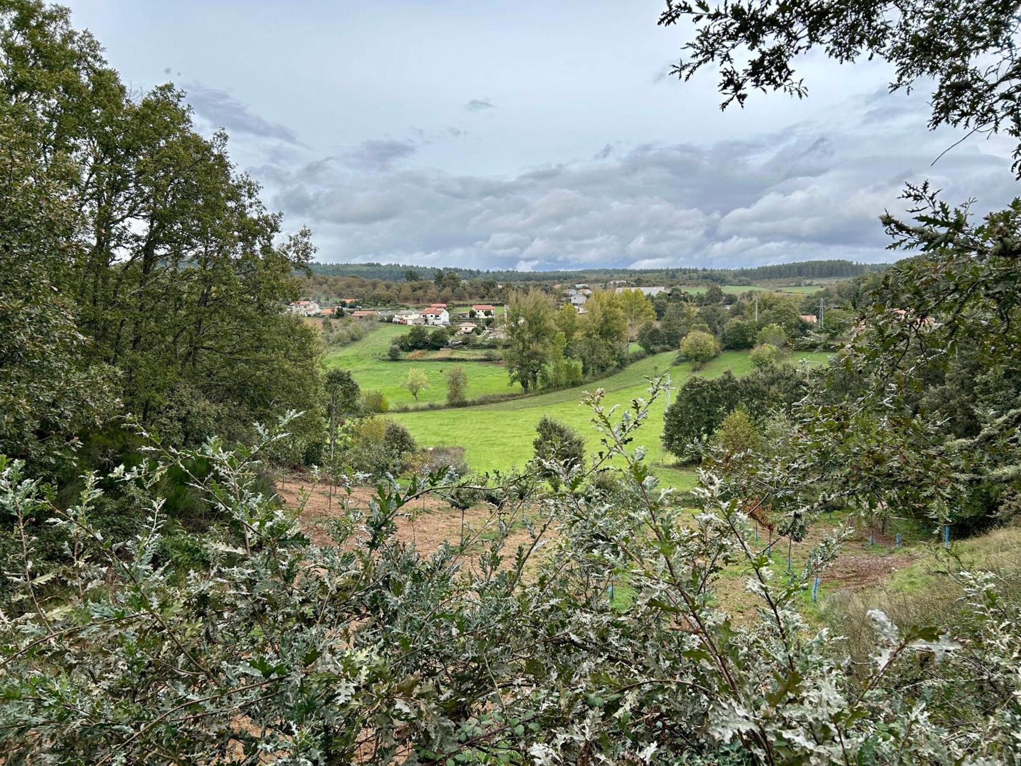Bragança Casa Do Souto - Nature & Experiences - Turismo Rural מראה חיצוני תמונה
