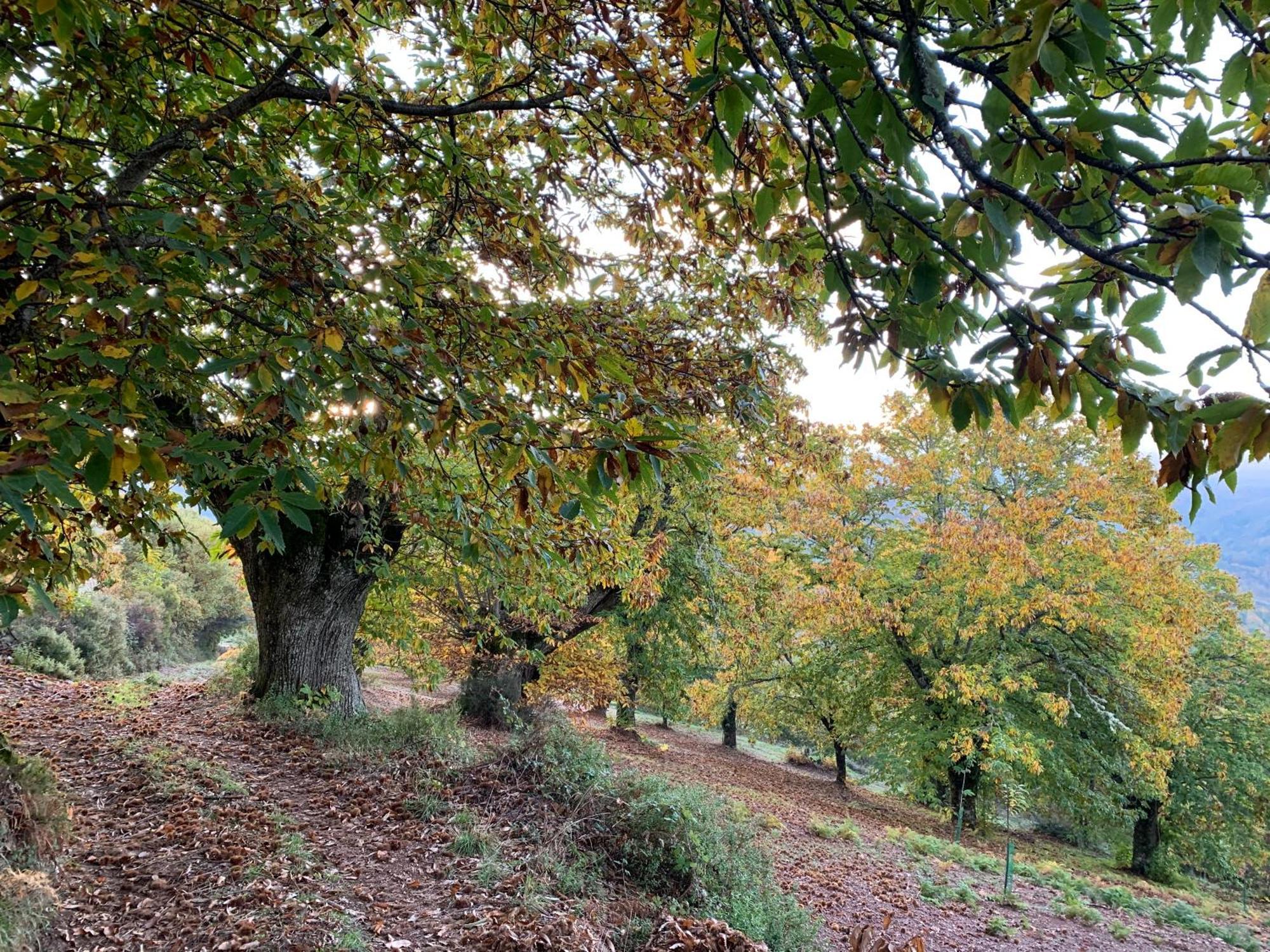 Bragança Casa Do Souto - Nature & Experiences - Turismo Rural מראה חיצוני תמונה