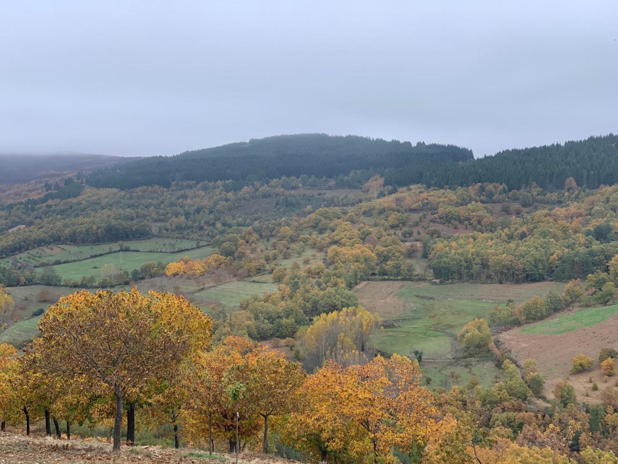 Bragança Casa Do Souto - Nature & Experiences - Turismo Rural מראה חיצוני תמונה