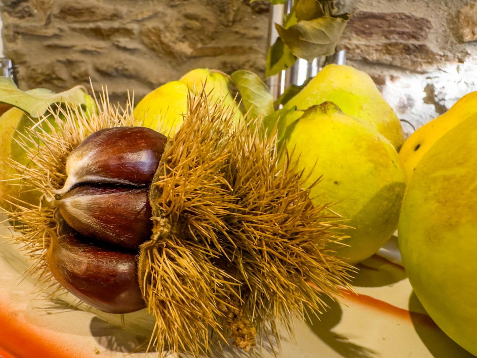 Bragança Casa Do Souto - Nature & Experiences - Turismo Rural מראה חיצוני תמונה